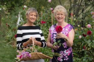 Owners carrying baskets of dahlias in the garden at White Cottage Flower Farm