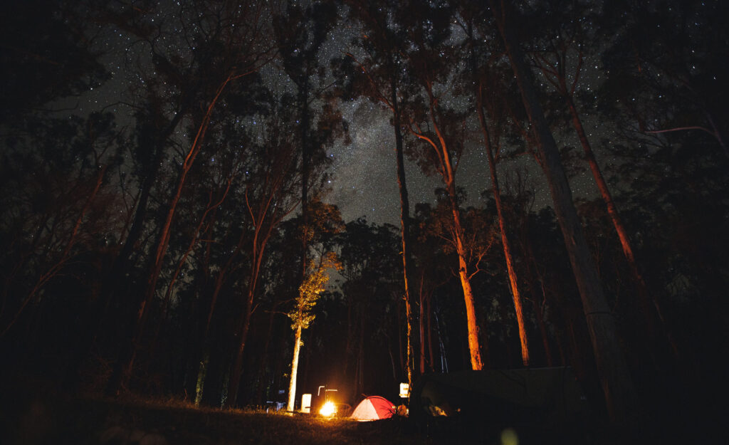 Campfire glow lighting the forest at Bald Rock Campground at night