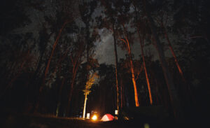 Campfire glow lighting the forest at Bald Rock Campground at night