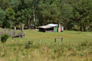 Four Bull Hut and stockyards on open grassland near Tenterfield