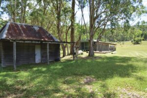 Historic timber slab Four Bull Hut shaded by gum trees