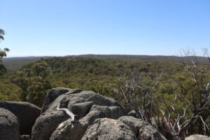 Granite boulder outcrops near Torrington