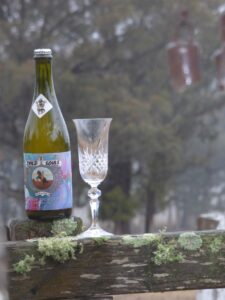 Bottle of 2 Wild Souls mead with a crystal glass on a lichen-covered log