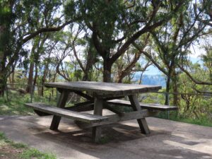 Shaded picnic table at the Mount Mackenzie Scenic Lookout