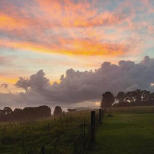 Vivid sunset over paddocks and tree line at 2 Wild Souls Meadery