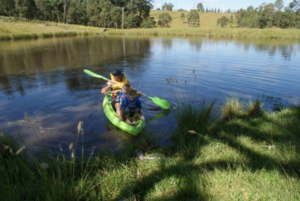 Kayaker paddling the green waters of the Clarence River at Levuka