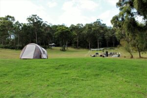 Tent pitched on the open grassy camping area at Cullendore High Country