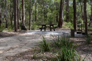 Picnic table in the forest clearing at Bald Rock Campground, photo by Dirk Richards