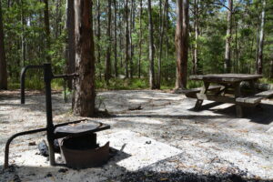 Fire ring and picnic tables at Bald Rock Campground, photo by Dirk Richards