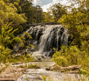 Basket Swamp Falls cascading over rock shelves surrounded by bushland