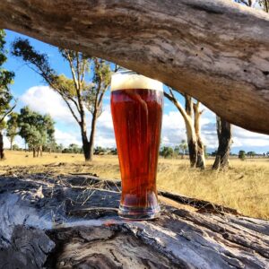 Glass of amber Deepwater Brewing ale resting on a fallen log in the bush