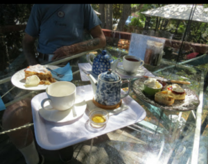 Morning tea tray with teapot, scones and cakes at The Bohemian Tearoom