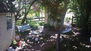 Shaded garden seating at The Bohemian Tearoom