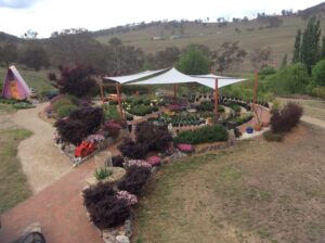 Garden beds, paths and shade sails through the display garden at Cherrydale Orchard