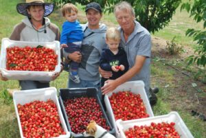 Family holding trays of freshly picked cherries at Cherrydale Orchard