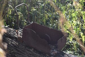 Rusted relic box among the grass at Currys Gap