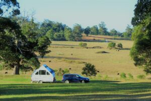 Camper trailer set up on green pasture beneath a spreading fig tree at Cullendore High Country