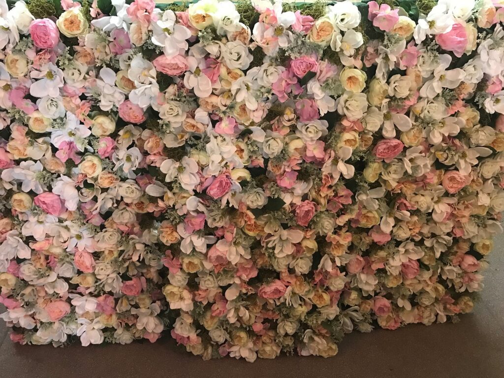 Wall of pink and cream roses by Little Magnolia Florist