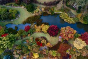 Aerial view of Glenrock Gardens in vivid autumn colour around the lake