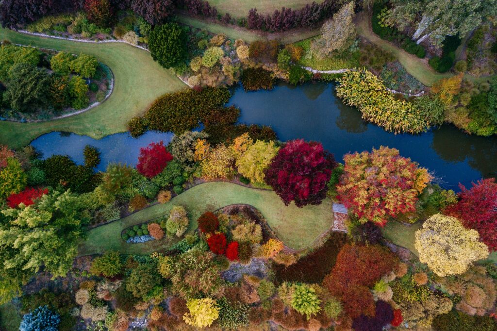 Aerial view of Glenrock Gardens in vivid autumn colour around the lake