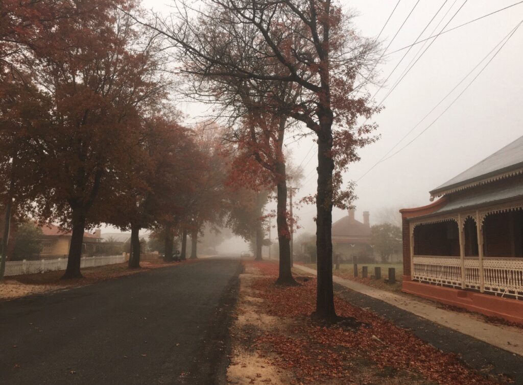 Autumn fog over the tree-lined street outside Strauss Cottage