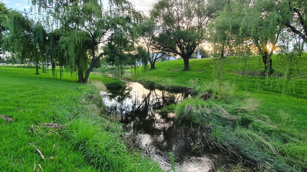 Tenterfield Creek running past the Hockey Fields, photo by Emma Johnson
