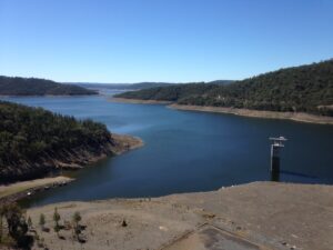Steep forested banks around the drop-off tower at Glenlyon Dam