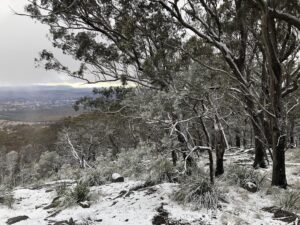 Snow dusting the bush at Mount Mackenzie Scenic Lookout