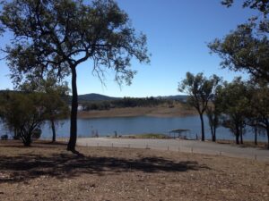 Shoreline picnic area under shade trees at Glenlyon Dam