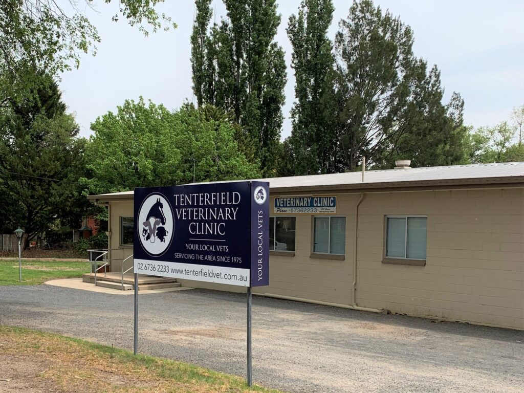 Tenterfield Veterinary Clinic building and sign