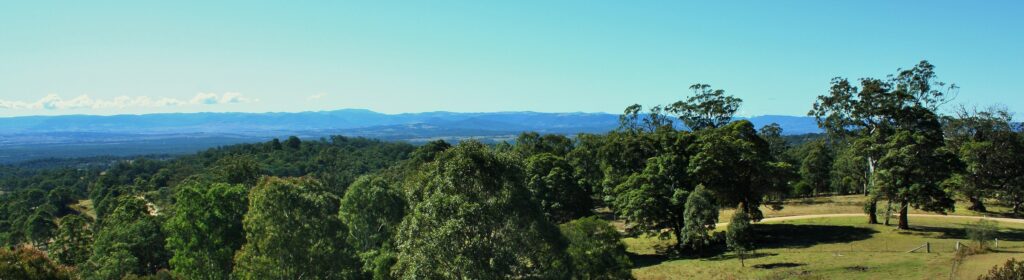 Panoramic view over treetops and distant ranges at Cullendore High Country