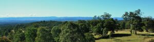 Panoramic view over treetops and distant ranges at Cullendore High Country