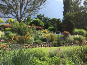 Terraced garden beds in full colour at Glenrock Gardens