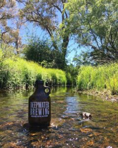 Deepwater Brewing growler standing in a clear creek among reeds