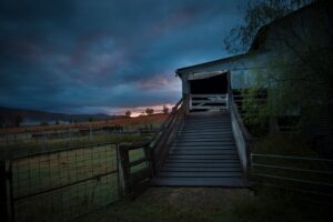 Old timber loading ramp at Roseneath Station under an evening sky