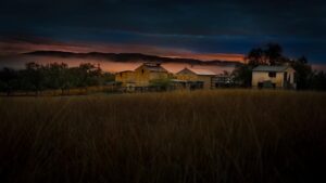 Roseneath Station homestead lights at dusk across the grasslands