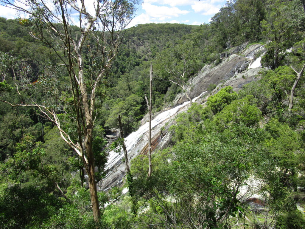 Undercliffe Falls sliding down the granite face through the trees