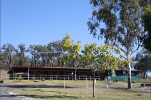 Kiosk building under shady trees at Glenlyon Dam Tourist Park
