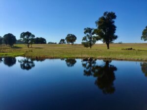 Farm dam reflecting trees and blue sky at Kookaburra Camping and Caravan Park