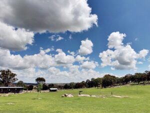 Open grassy camping paddock under big skies at Kookaburra Camping and Caravan Park