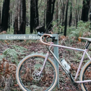 Gravel bike leaning on the Lindrook Road sign in burnt forest