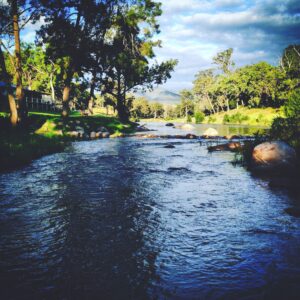 The Mole River flowing beneath shady trees at Wangrah Wilderness Lodge