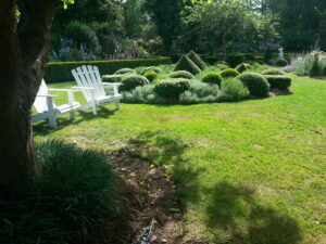 Adirondack chairs on the lawn beneath box hedges at White Cottage Flower Farm