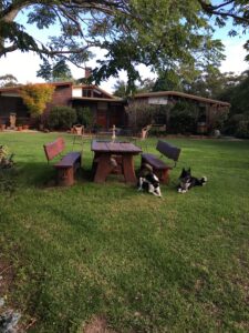 Outdoor picnic tables on the lawn beneath shade trees at Stonepine Ridge