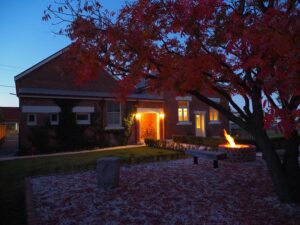 Autumn tree shedding red leaves over the courtyard at dusk, Old Council Chambers