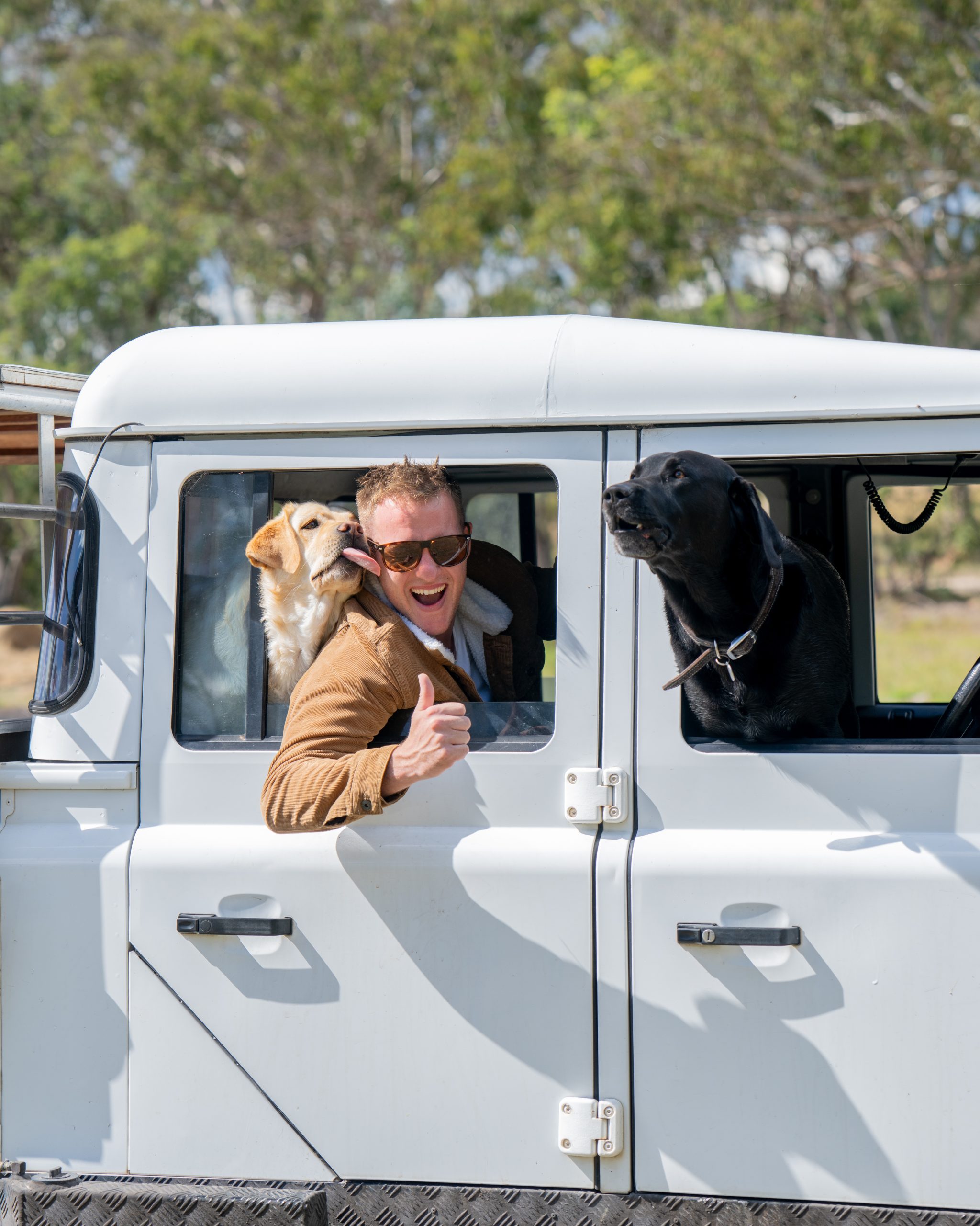 Tenterfield with Your Dog: Pet-Friendly Stays & Places