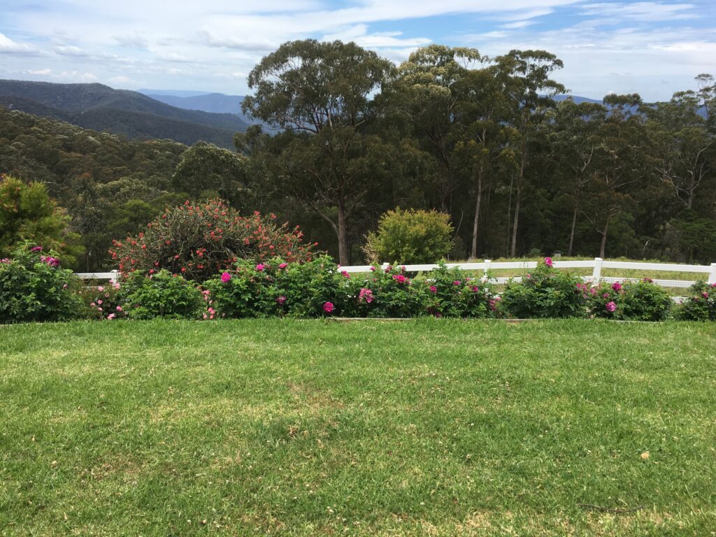Rose garden and white post fence with mountain views at Stonepine Ridge