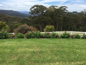 Rose garden and white post fence with mountain views at Stonepine Ridge