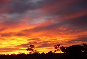 Fiery orange sunset over the tree line at Mistral Hill
