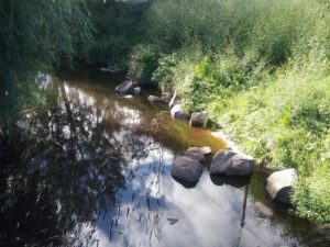 Tenterfield Creek flowing over rocks beside the showground